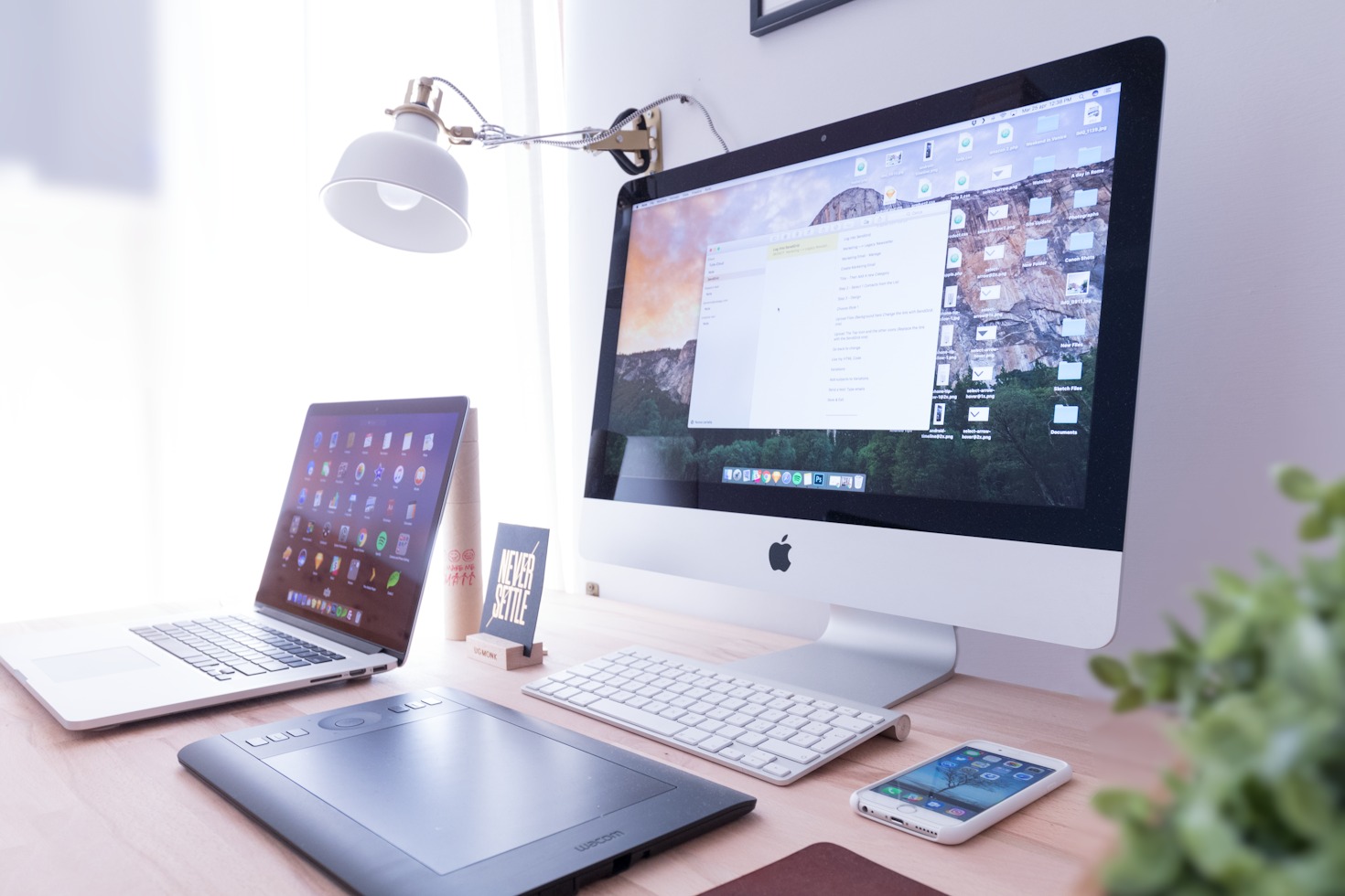 Exploring the Intersection of Tech and Sustainability